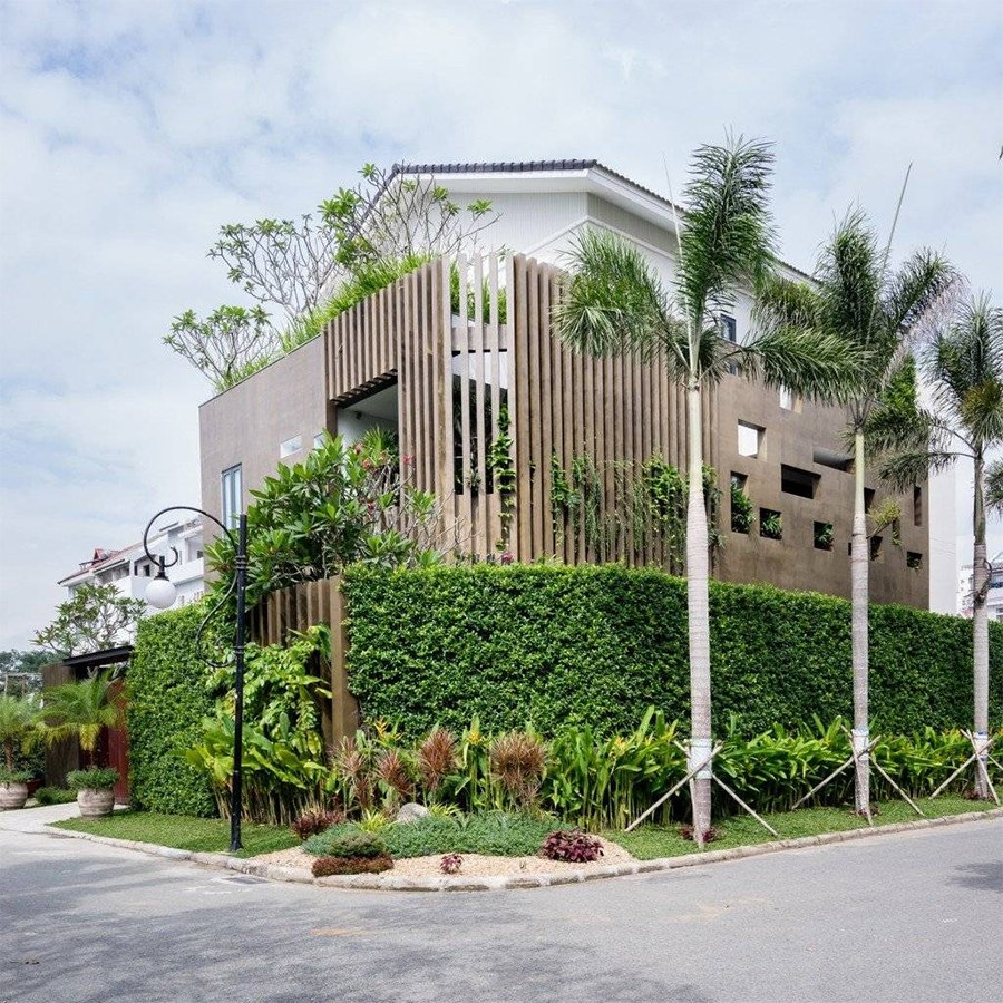 Mẫu thiết kế tường rào biệt thự bằng cây xanh tự nhiên