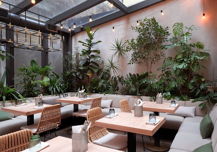 Hệ thống ánh sáng sẽ tạo nên điểm nhấn đặc biệt cho thiết kế quán cà phê sân vườn đẹp