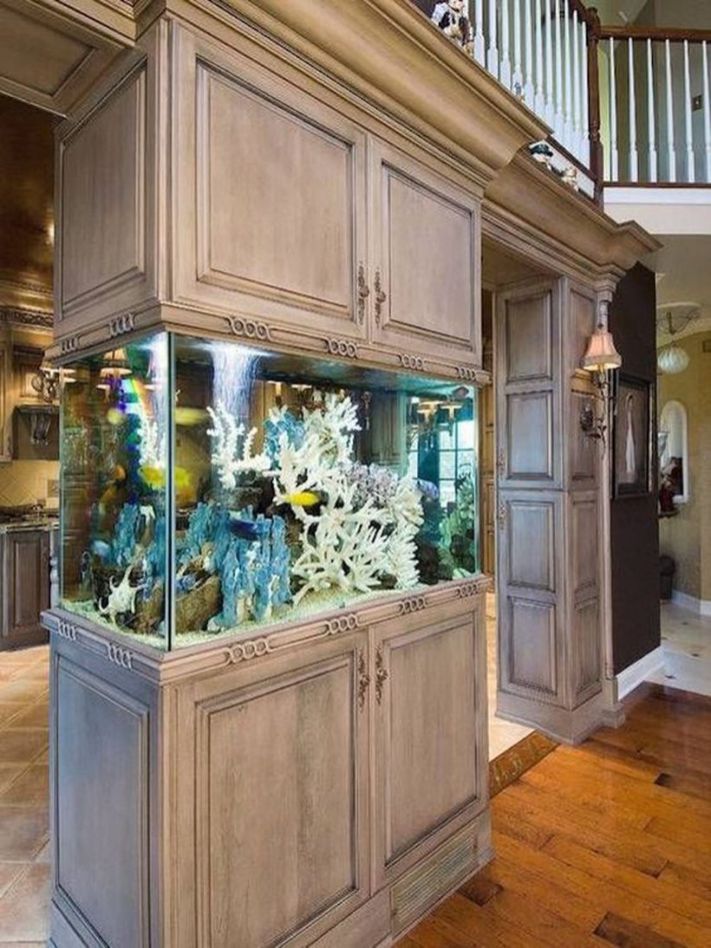 Có nên đặt bể cá phong thủy trong nhà hay không? 