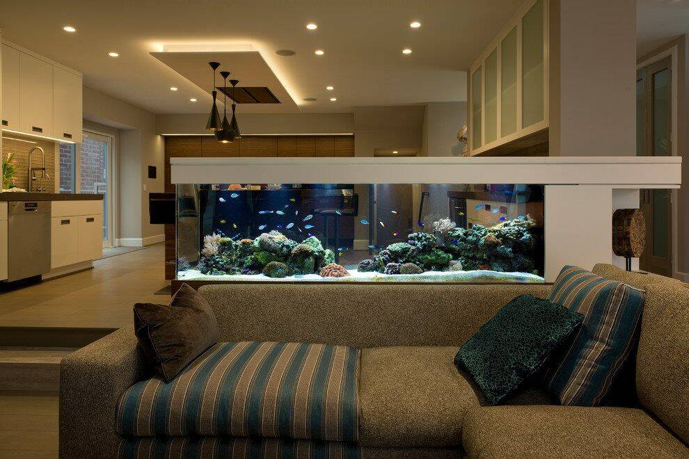 Thiết kế bể cá trong phòng khách