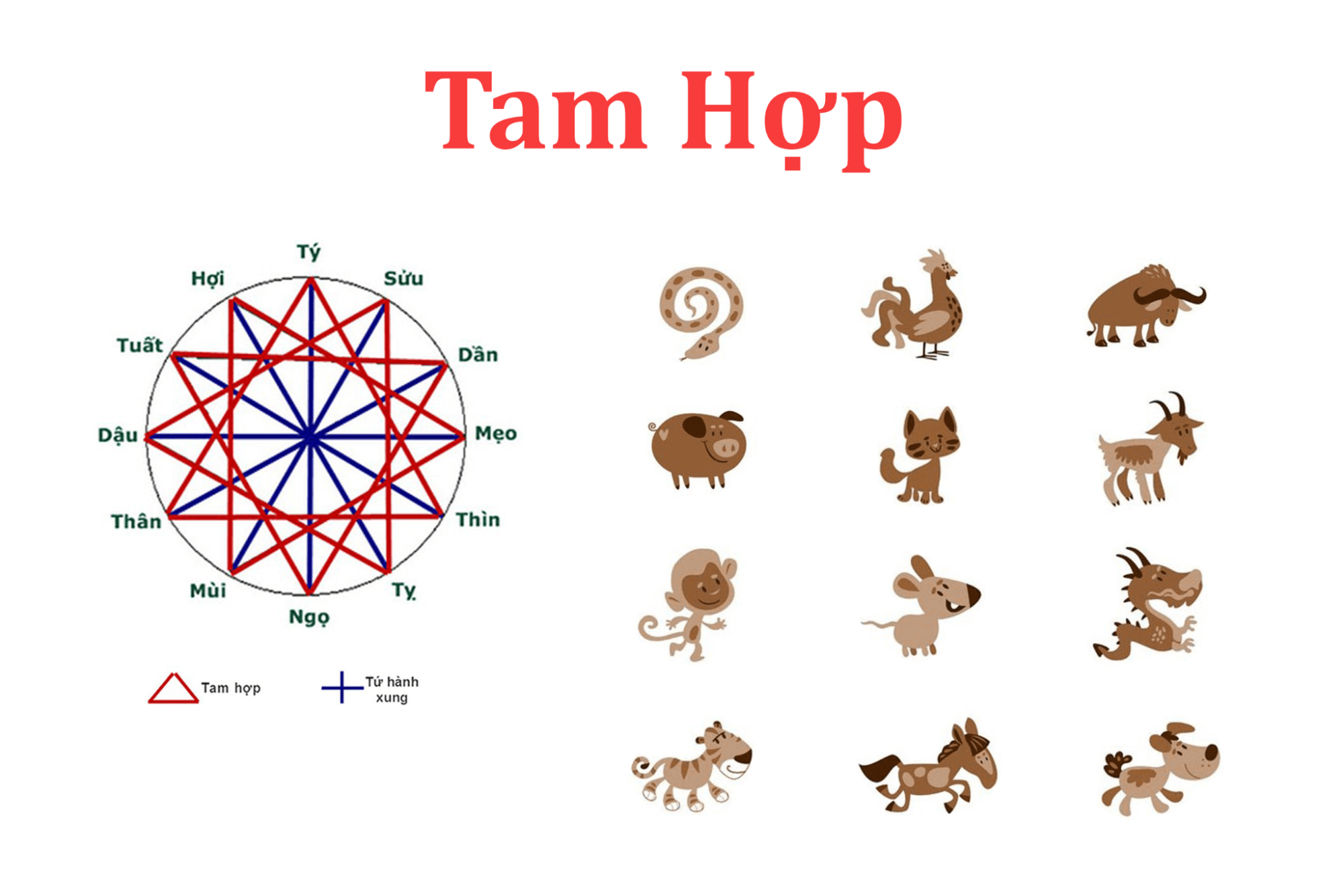 Tam hợp là gì? Tam hợp hóa tam tai là gì?