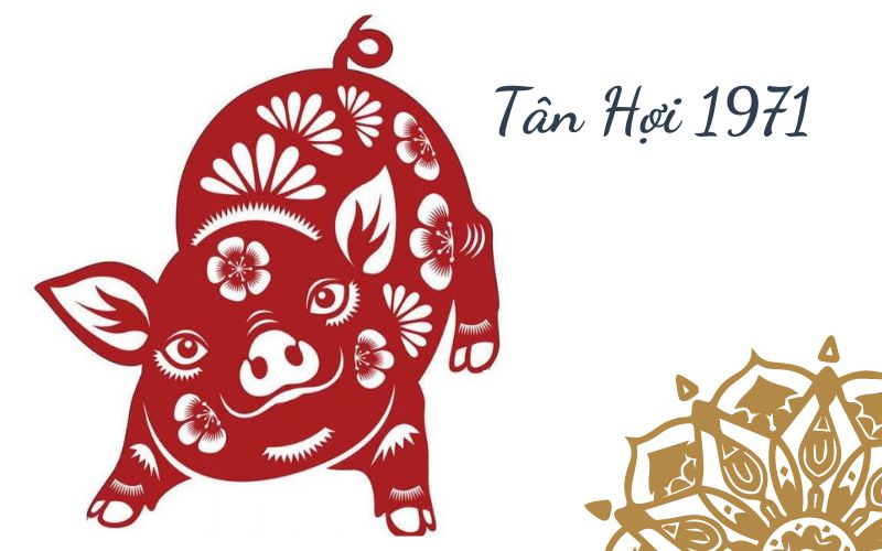 Tuổi Tân Hợi làm nhà năm nào tốt? 