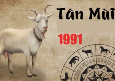 1991-tam-tai-nam-nao.jpg