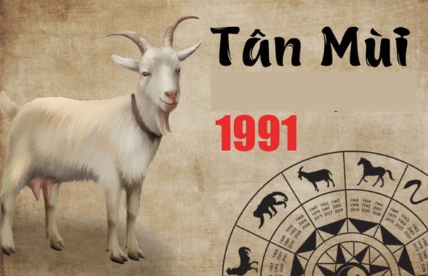 Bình giải tuổi Tân Mùi 1991 tam tai năm nào?