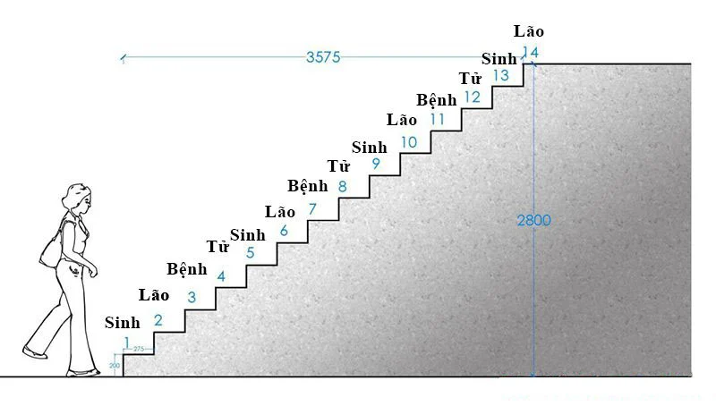 Số bậc cầu thang tiêu chuẩn 