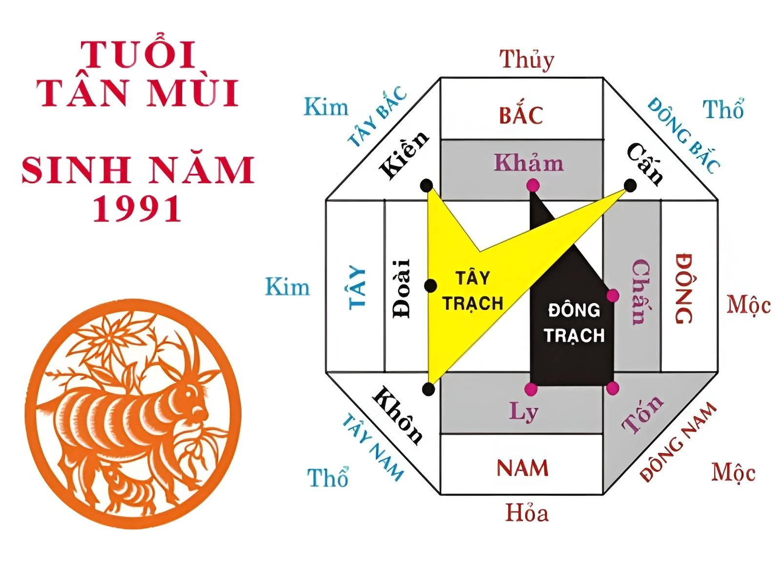 Tân Mùi 1991 hợp màu gì​