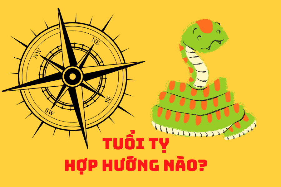 tuổi Tỵ hợp hướng nào