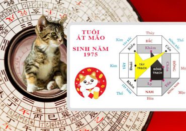 tuổi ất mão làm nhà hướng nào