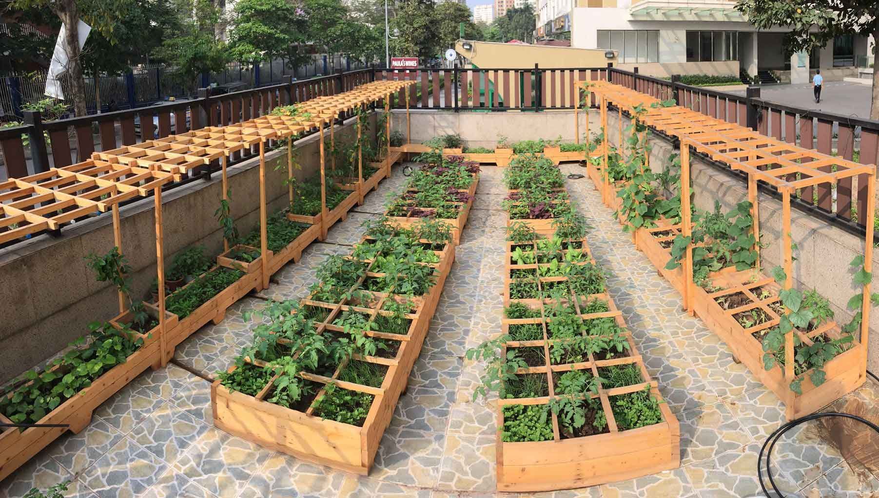 thiết kế tầng tum nhà ở trồng rau