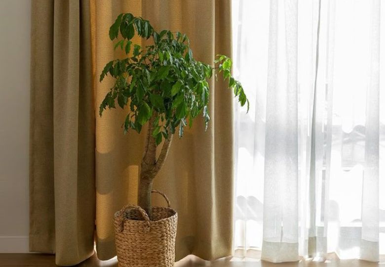 chọn màu rèm cửa theo tuổi