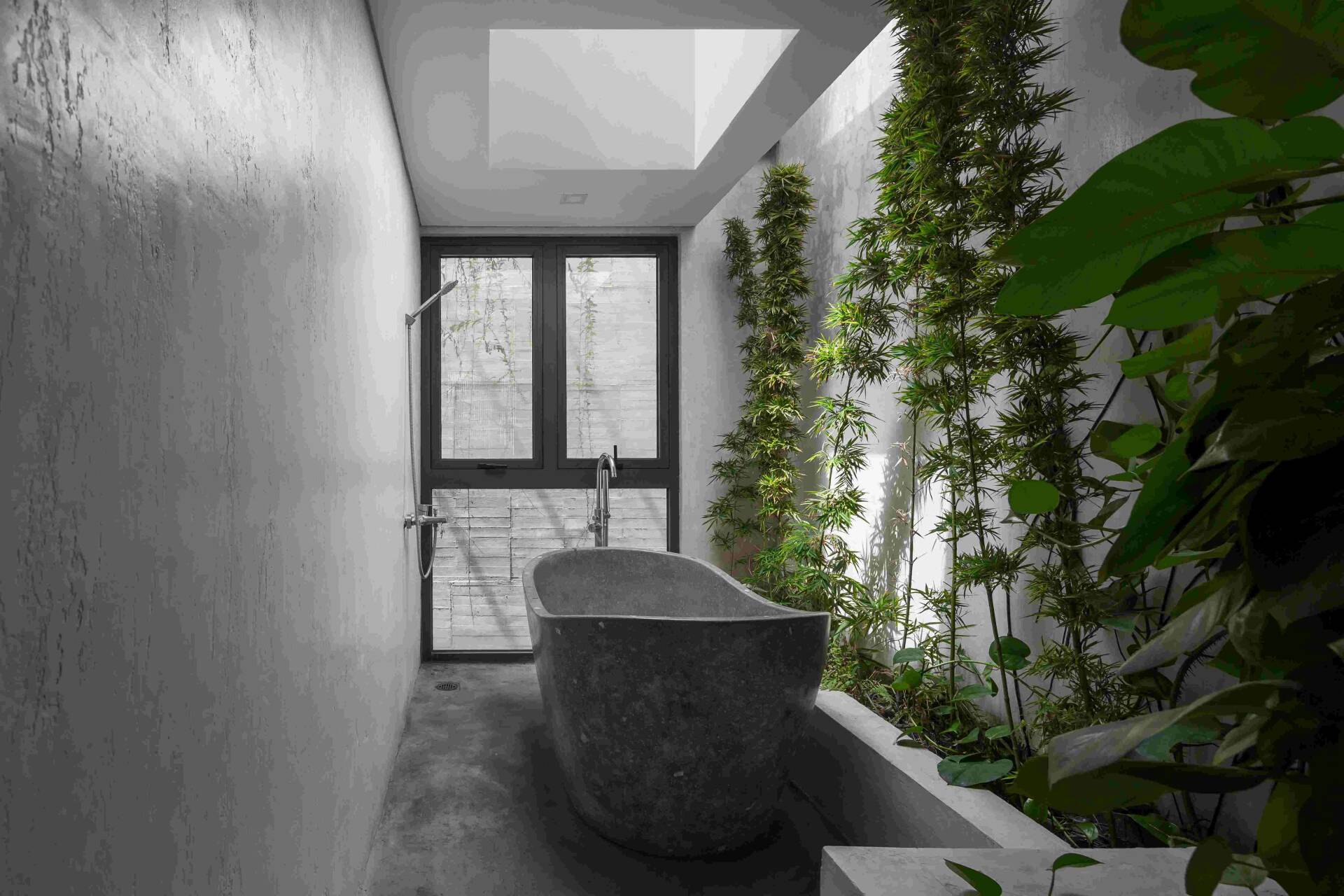 mẫu giếng trời trong nhà ống 2