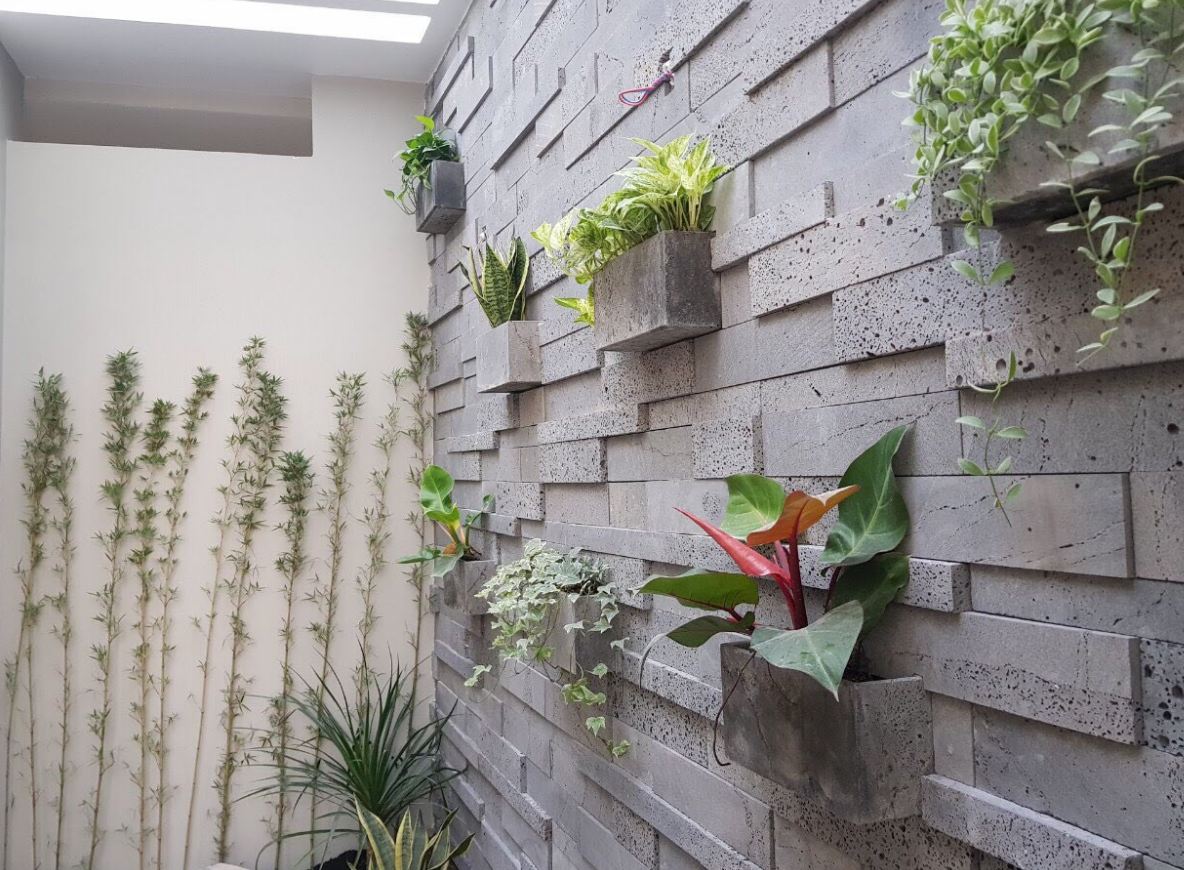 tiểu cảnh giếng trời đẹp