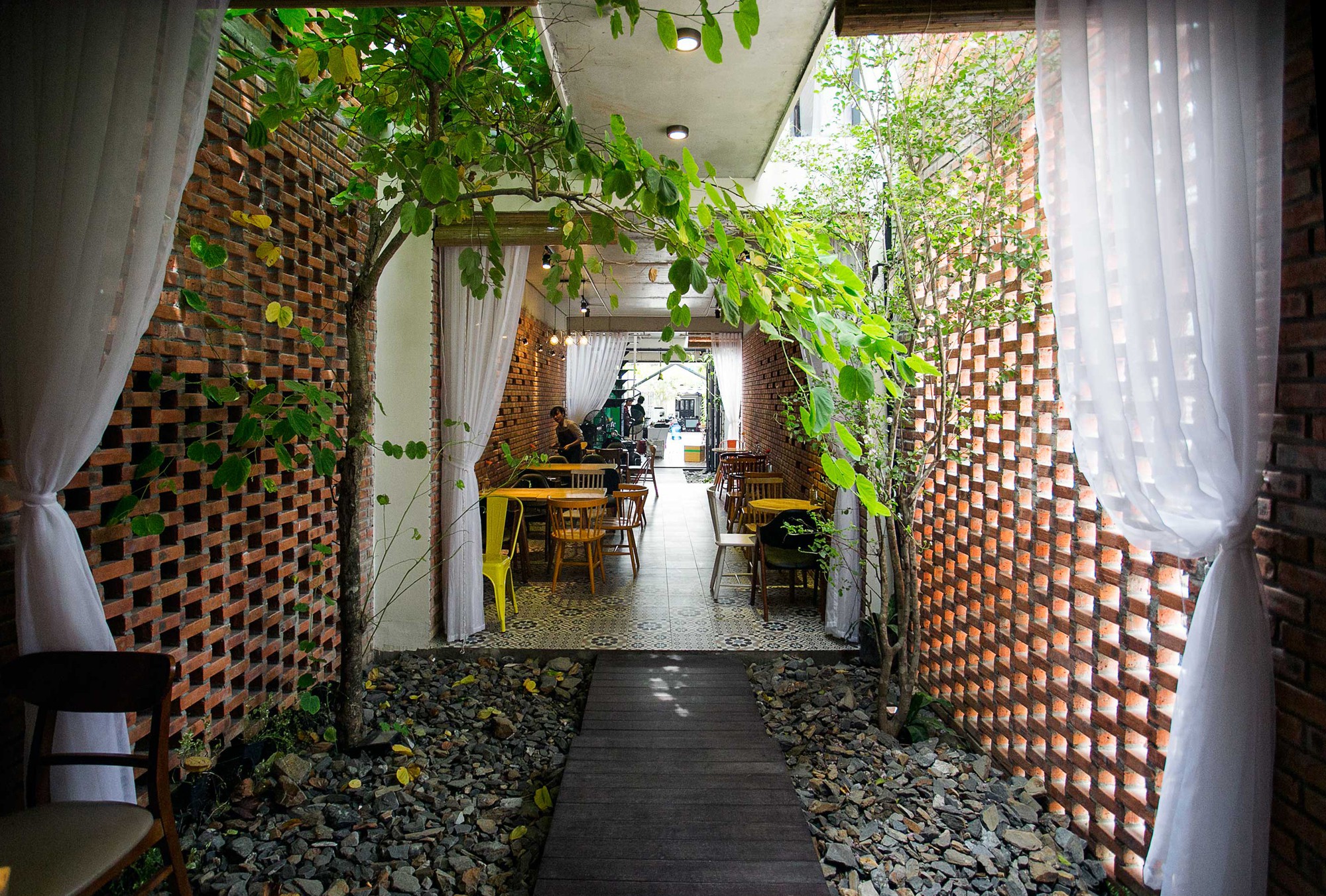 trồng cây giếng trời dây leo